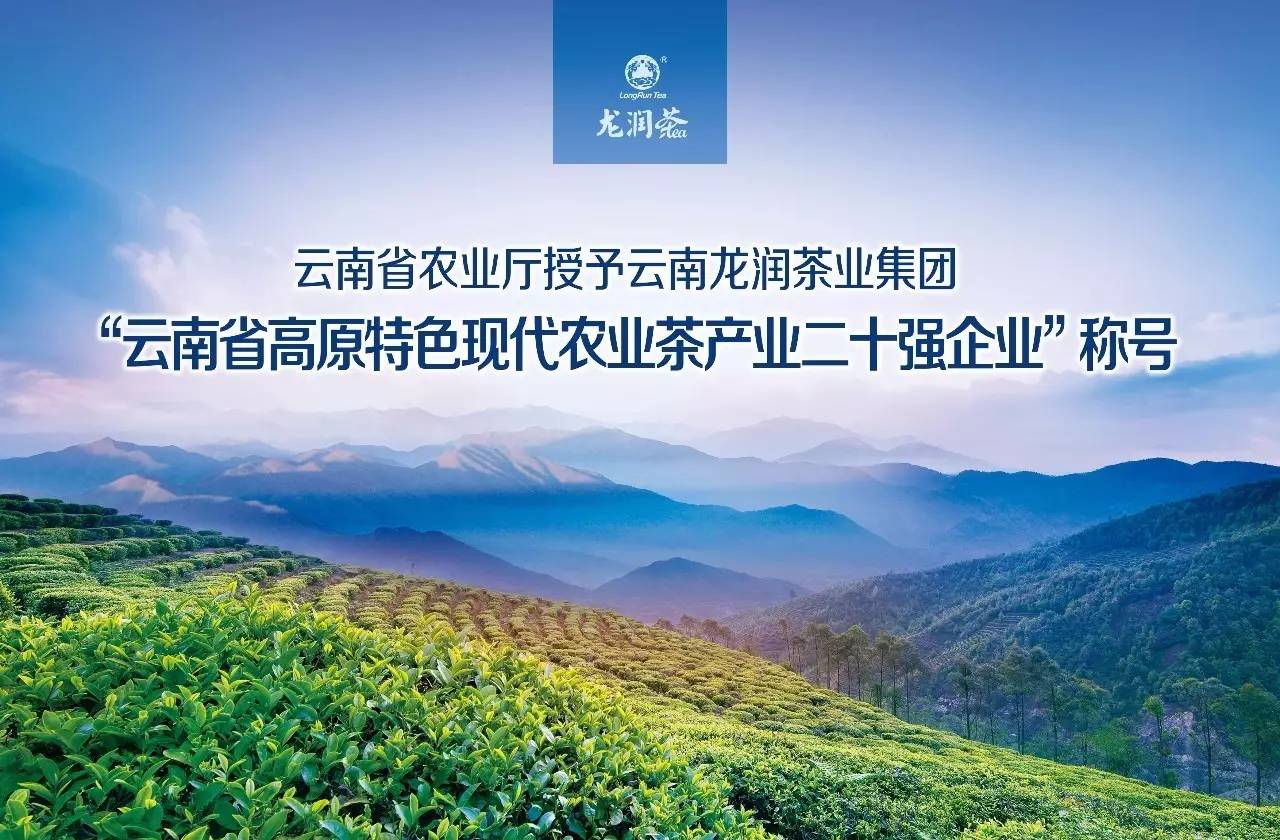 云南木本粮油技术咨询，绿色农业发展引擎，助力乡村振兴战略实施,云南木本粮油技术咨询,提供技术咨询,第1张